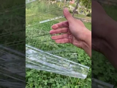 ورقة سقف البولي